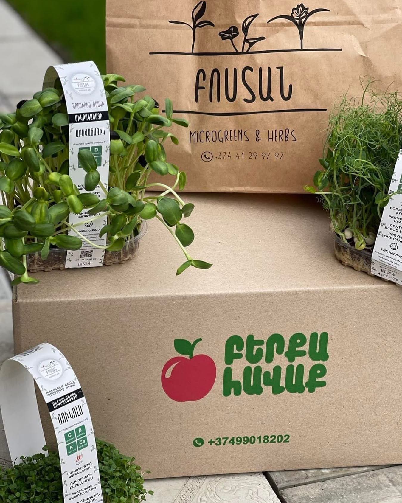 The branded Bostan Microgreens & Herbs box with trays of microgreens