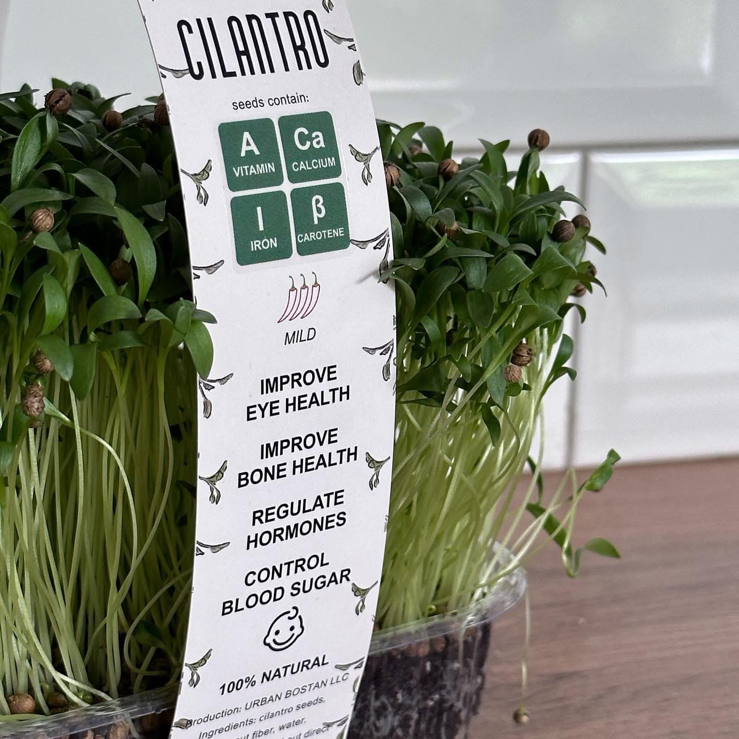 A pack of coriander microgreens with a label describing its benefits
