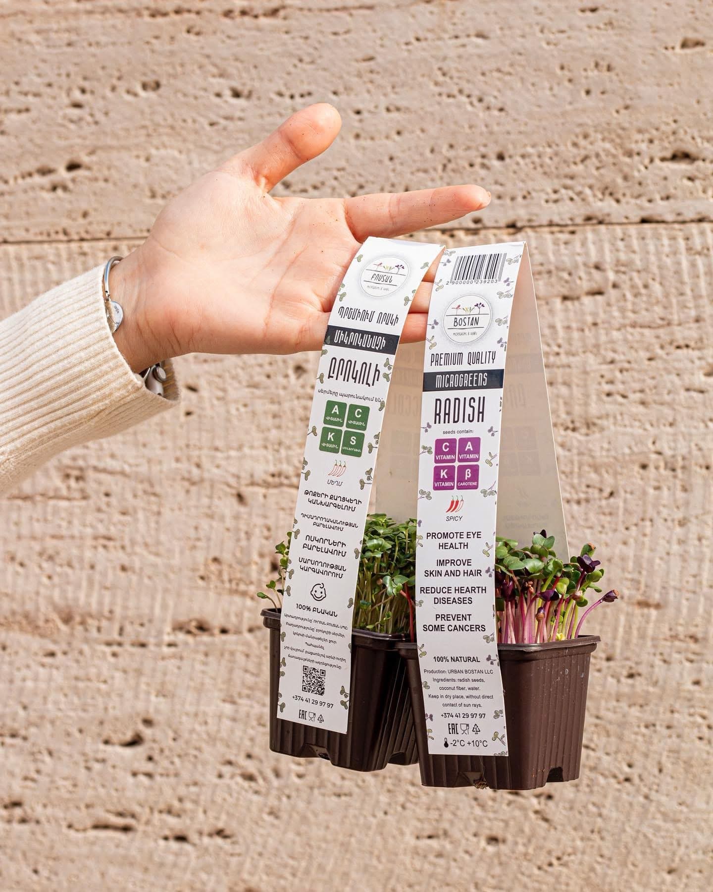 Two packs of radish microgreens held in one hand