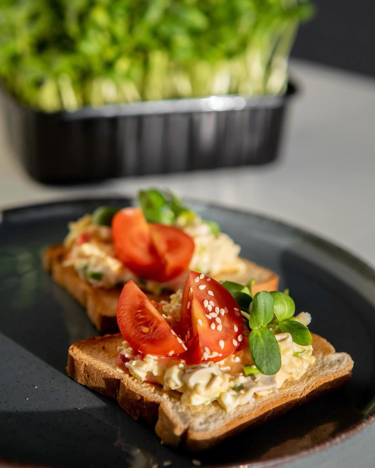 Toast with egg salad, tomatoes and microgreens