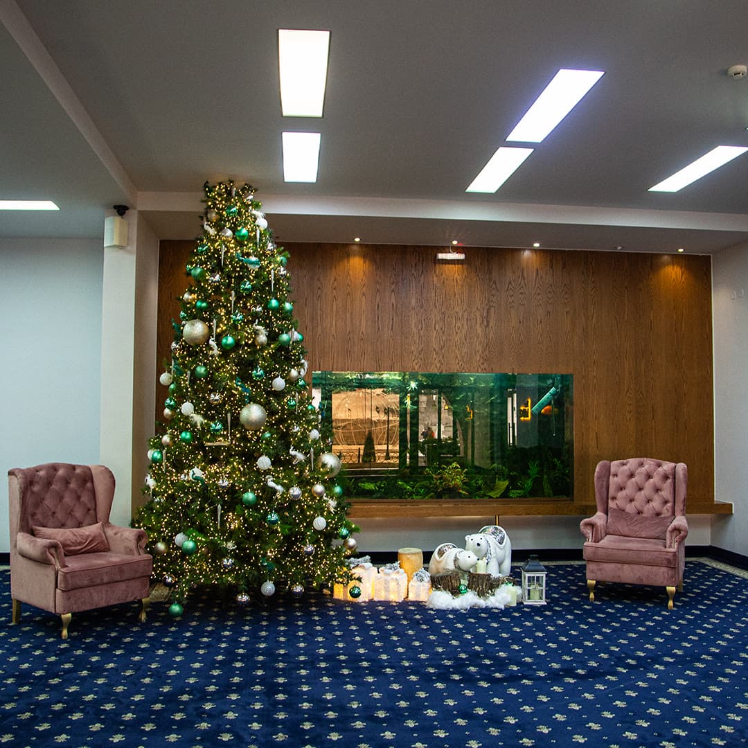 The hotel lobby with a Christmas tree, an aquarium and a blue carpet